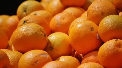 Zakon.kz, фото - Новости Zakon.kz от 16.11.2017 23:42