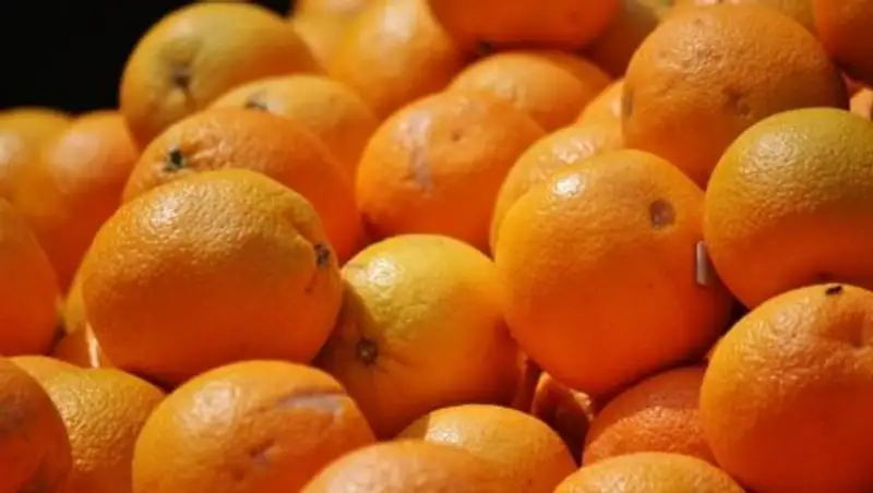 Цитрусовые из Ирана привезут в Кызылорду
