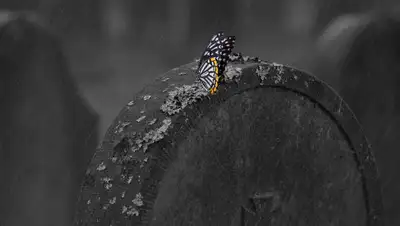 Pixabay, фото - Новости Zakon.kz от 14.02.2020 00:35