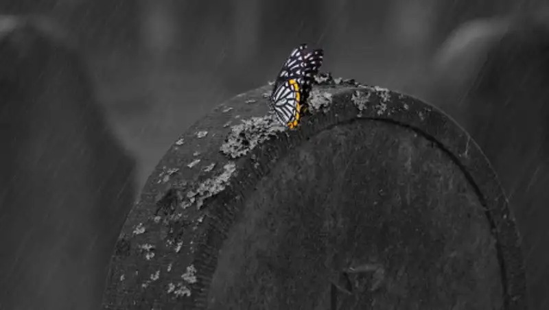 Кладбище в Алматинской области разворовали вандалы