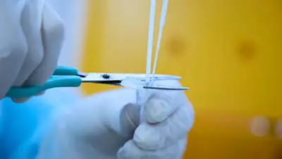 Коронавирус в Казахстане 17 августа, фото - Новости Zakon.kz от 18.08.2022 08:22