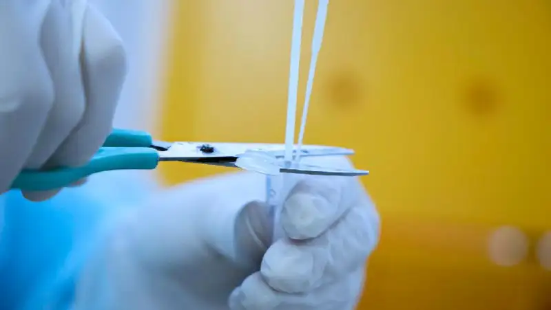 Небольшой суточный рост заболеваемости COVID-19 выявили в Казахстане