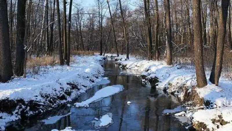 Каким был ноябрь в Казахстане