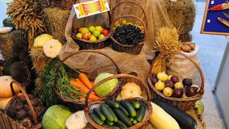 Казахстан экспортировал в страны ТС за 3 года сельхозпродукции на $1 млрд - МСХ