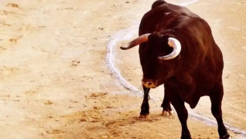 Сбежавший с испанской ярмарки бык забодал более 10 человек