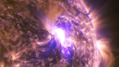 Zakon.kz, фото - Новости Zakon.kz от 26.06.2015 22:47