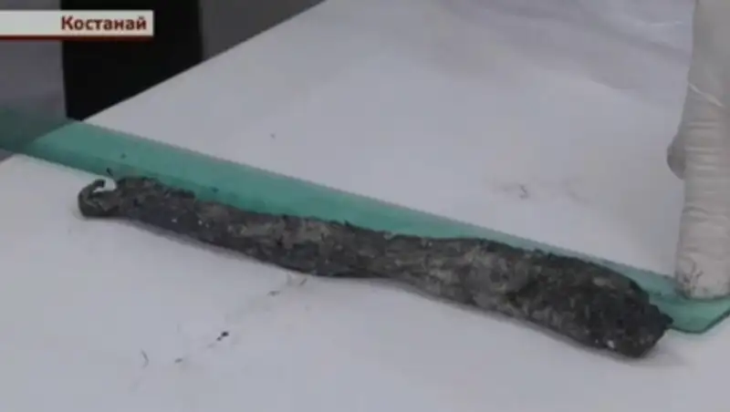 Костанайские биологи почти разгадали тайну загадочного существа