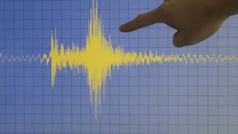 Землетрясение зафиксировали сейсмологи в 447 км на северо-восток от Алматы