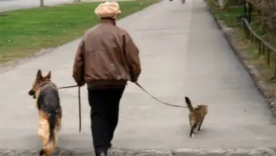 Zakon.kz, фото - Новости Zakon.kz от 14.03.2016 17:44