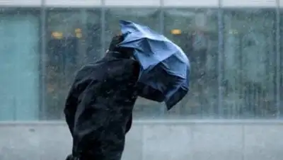 express-k.kz, фото - Новости Zakon.kz от 30.10.2020 10:57