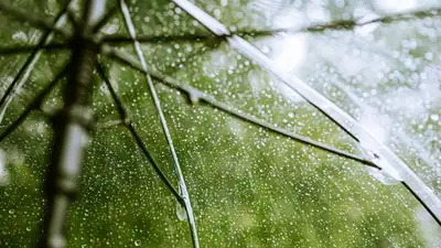 Спад жары и сильные дожди пообещали казахстанцам на выходные, фото - Новости Zakon.kz от 04.08.2023 12:57