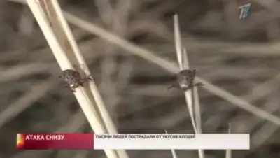 Zakon.kz, фото - Новости Zakon.kz от 14.05.2016 06:55