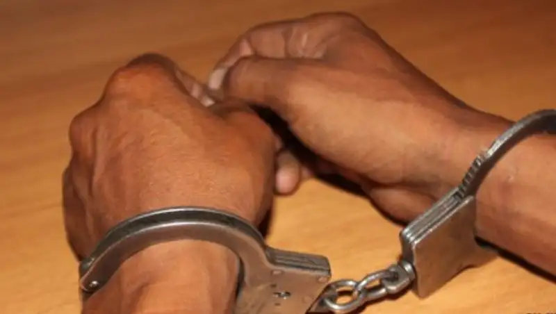 В Павлодарской области задержан мужчина, подозреваемый в изнасиловании несовершеннолетней