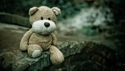 pixabay.com, фото - Новости Zakon.kz от 31.07.2021 09:03