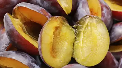 диета, советы, фото - Новости Zakon.kz от 09.03.2023 17:46