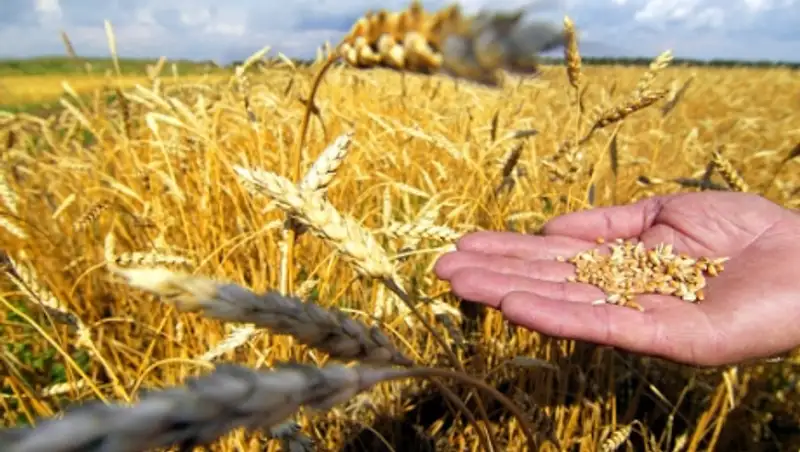 Н. Назарбаев: В Казахстане - самая экологически чистая продукция в мире