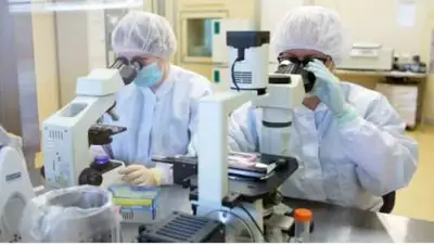 ria.ru, фото - Новости Zakon.kz от 21.12.2020 19:13