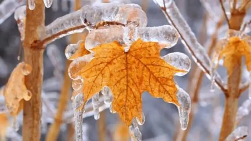 Дождь и снег ожидаются на большей территории Казахстана 5 октября