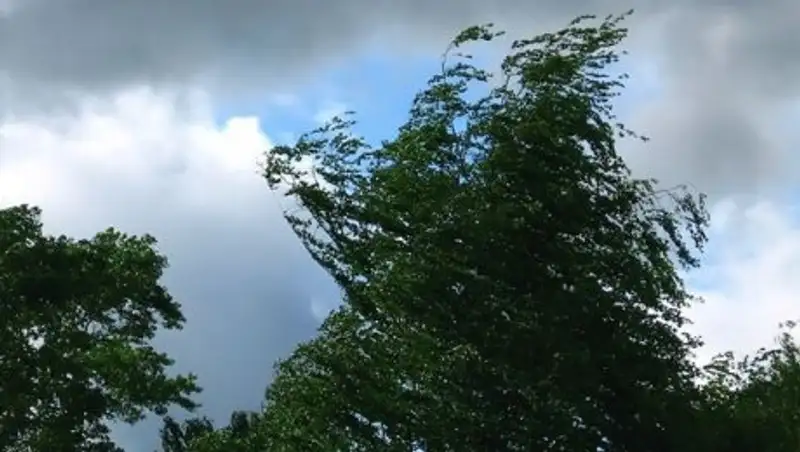 Казахстанцам пообещали ветреные выходные 