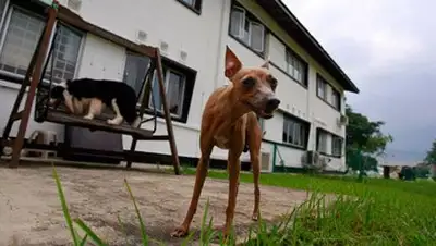 Zakon.kz, фото - Новости Zakon.kz от 15.01.2014 02:11