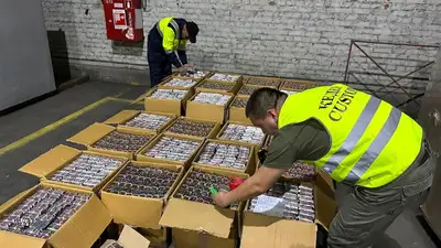 Контрабандные лекарства на 43,4 млн тенге пытались ввезти в Казахстан из Индии, фото - Новости Zakon.kz от 13.04.2023 10:08