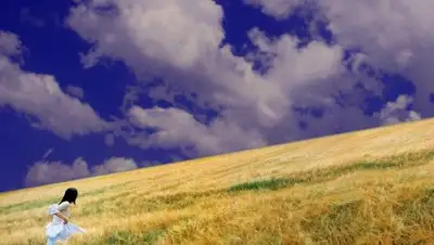 Zakon.kz, фото - Новости Zakon.kz от 11.09.2016 02:03