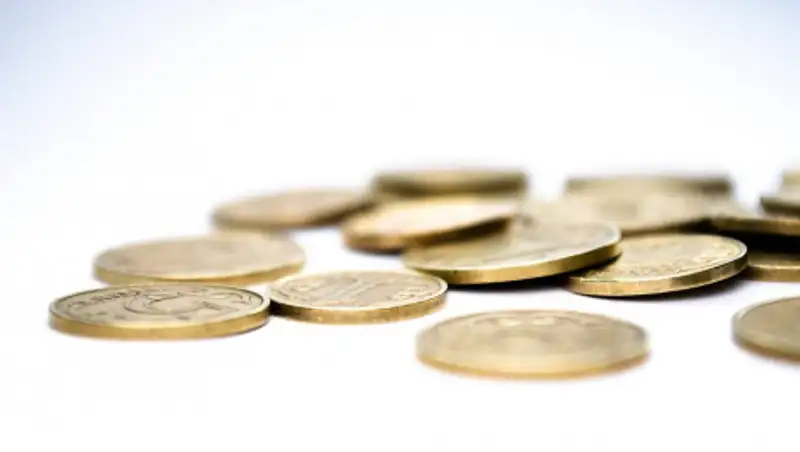 Поправки в бюджет одобрены Мажилисом