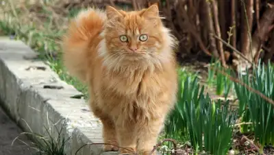 Zakon.kz, фото - Новости Zakon.kz от 08.04.2016 19:55