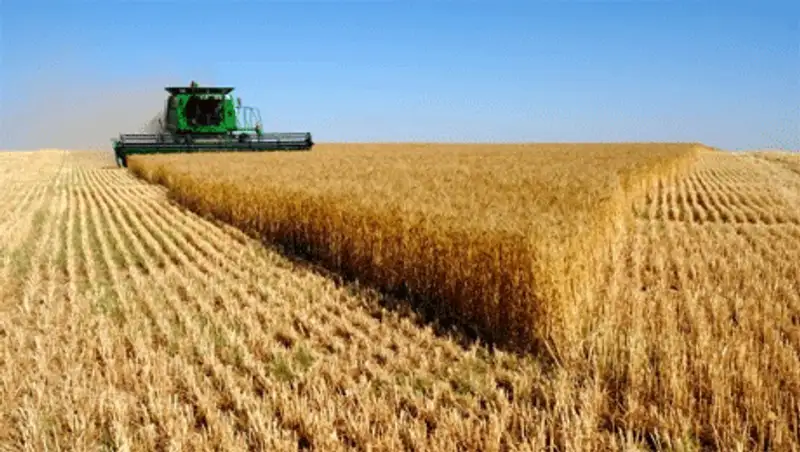 В Единый зерновой холдинг уже вошло 56 участников казахстанского рынка, фото - Новости Zakon.kz от 20.10.2013 16:12