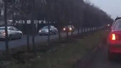 кадр видео, фото - Новости Zakon.kz от 23.11.2018 09:27