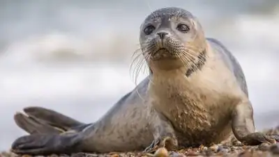 inform.kz, фото - Новости Zakon.kz от 08.06.2021 11:04