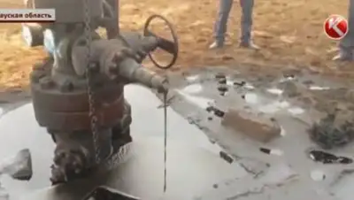 Zakon.kz, фото - Новости Zakon.kz от 07.12.2016 04:09