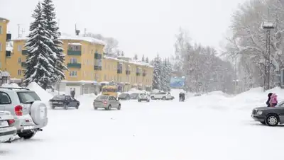 из открытых источников, фото - Новости Zakon.kz от 14.12.2018 23:24