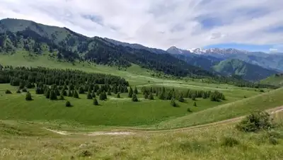 акимат Алматы, фото - Новости Zakon.kz от 22.06.2018 15:02