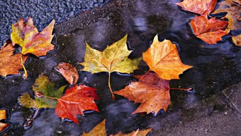 Гололед прогнозируют в столице в последний день сентября