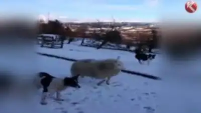 Zakon.kz, фото - Новости Zakon.kz от 10.02.2015 15:14