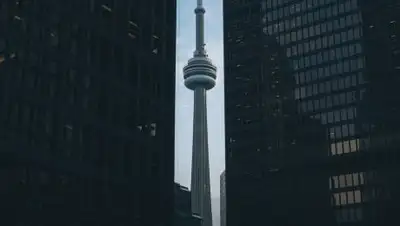 Pixabay, фото - Новости Zakon.kz от 09.11.2020 16:54