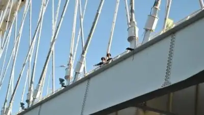 Zakon.kz, фото - Новости Zakon.kz от 17.02.2015 01:43