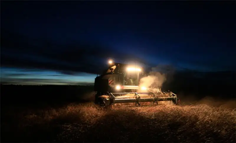 Урожай 2013, фото - Новости Zakon.kz от 07.11.2013 19:46