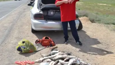 Zakon.kz, фото - Новости Zakon.kz от 08.06.2016 23:27