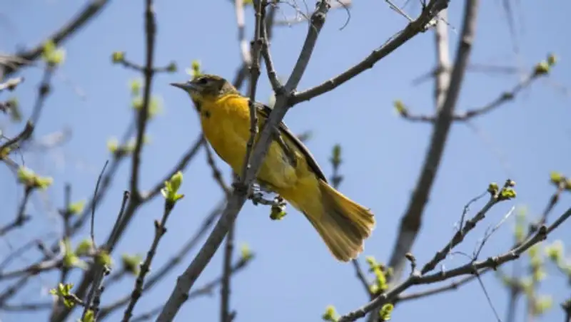 Чего ждать от погоды 12 апреля в Казахстане