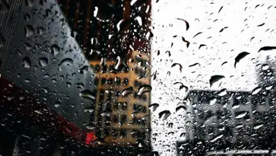 pxhere.com, фото - Новости Zakon.kz от 08.10.2019 09:04