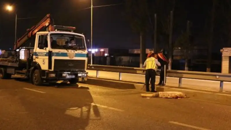 На Северном кольце в Алматы насмерть сбили девушку