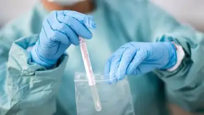 Deo Gratias News, фото - Новости Zakon.kz от 24.09.2020 08:00