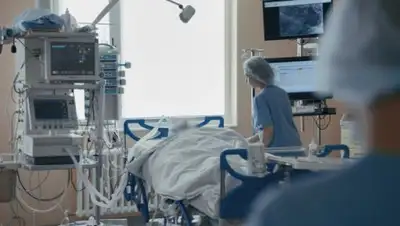 24tv.ua, фото - Новости Zakon.kz от 09.07.2020 12:08