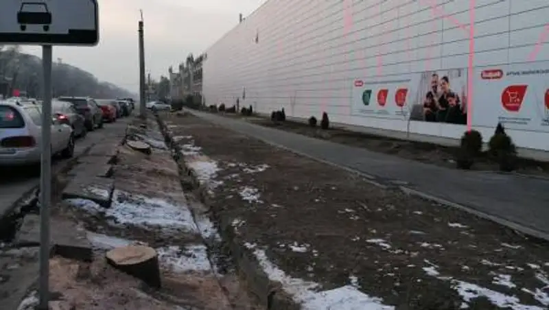 Сагинтаев взял на личный контроль вопрос с вырубкой деревьев в Алматы