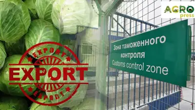 пресс-служба, фото - Новости Zakon.kz от 13.04.2020 12:15