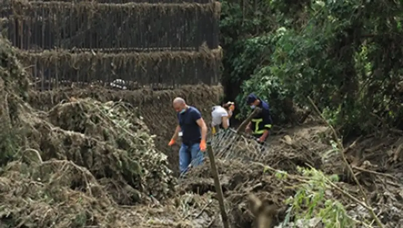 В Тбилиси нашли четырех погибших медведей и выжившего кабаненка