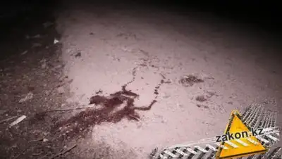 Zakon.kz, фото - Новости Zakon.kz от 23.02.2017 17:31