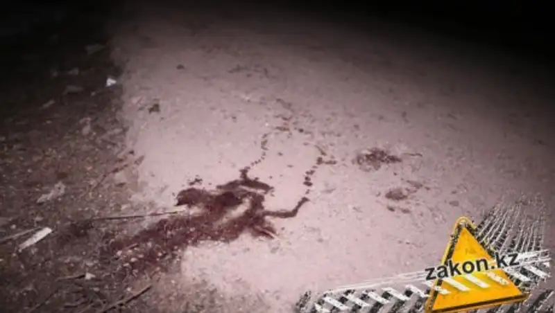 Полиция Алматы ищет очевидцев смертельного наезда на девочку